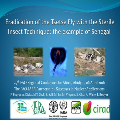 Eradication of the Tsetse Fly with the Sterile Insect Technique: the example ...