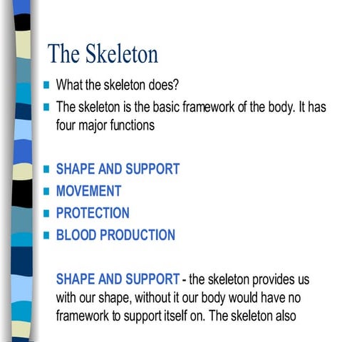 3   Skeleton, Joints, Muscles, Circulatory + Respiratory Sys