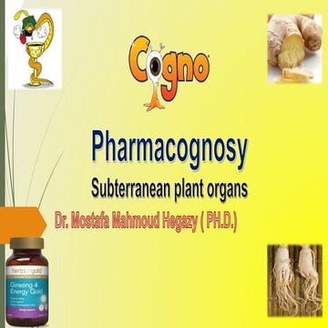 Ginseng, RAUWOLFIA, SARSAPARILLA, Alkanna, Calumba and Dandelion