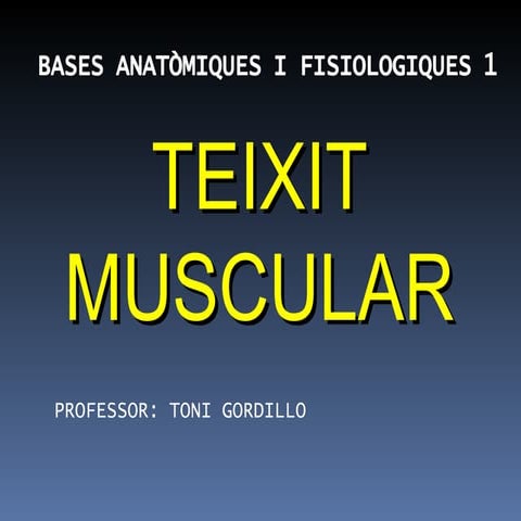 Muscular | PPT