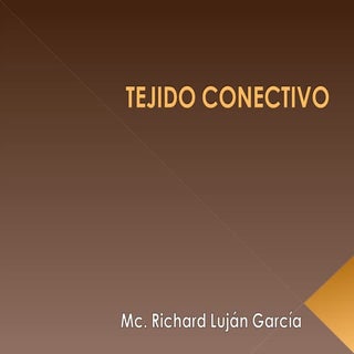 3   Tejido Conectivo