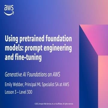 Using pretrained FM Models AWS prompt engineering