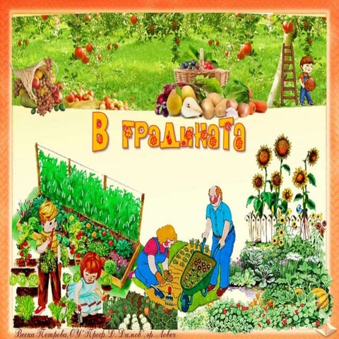 30. В градината - ОС, Анубис, В. П.