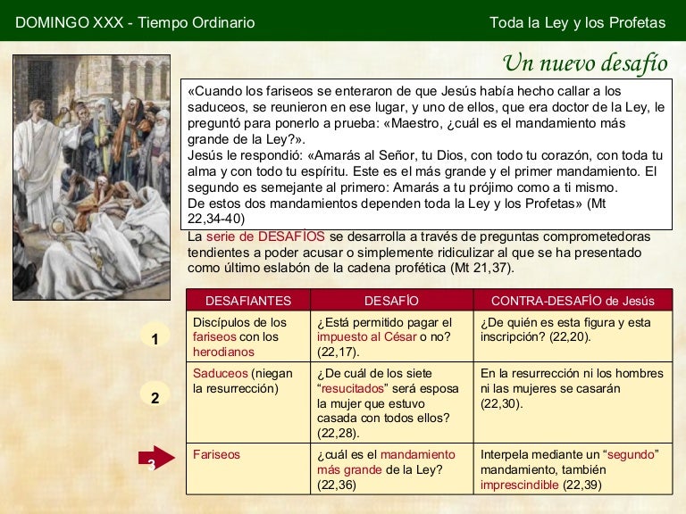 30. toda la ley y los profetas