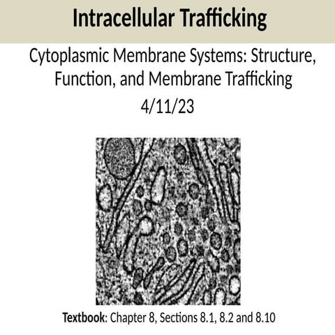 303-chpt8-protein targeting I_spring2023_eg_final.pptx