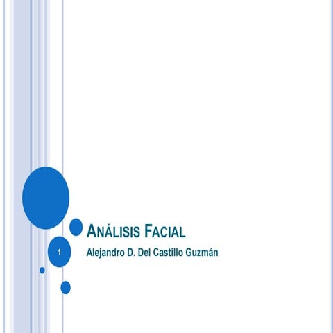 30320818 analisis-facial