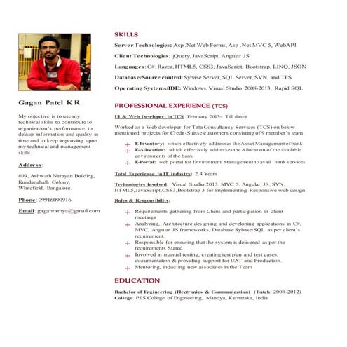 Accenture Inc CV | DOCX