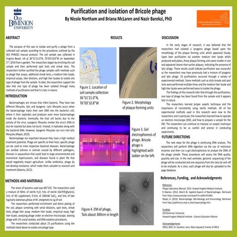 Phage presentation- The Isolation and Characterization of ...