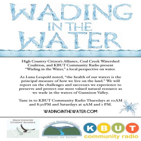 Wading in the Water Flyer Full Sheet