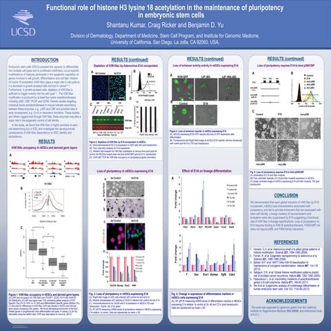 Kumar-Ricker-Poster-mesa_2013_V2