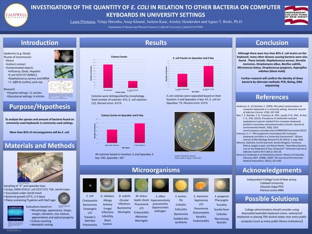 ICFNJ presentation Laura Prioteasa ...