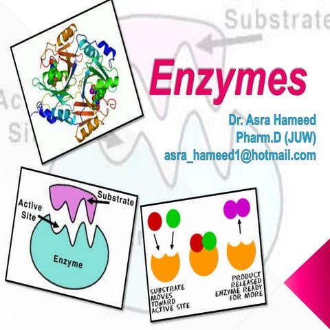 enzymes