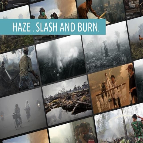 Haze presentation | PPT
