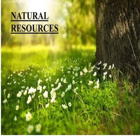 3071 ppt -_natural_resources