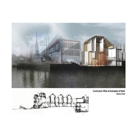 CV & examples of work