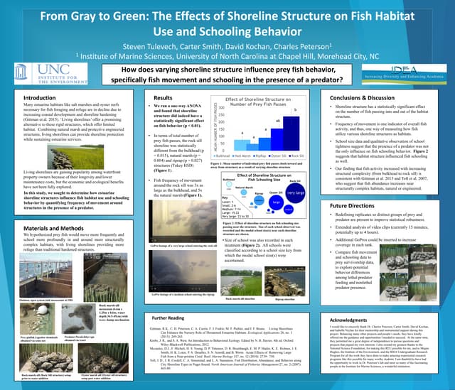 Tulevech_Effects_of_Shoreline_Structure_on_Fish_Habitat_Use_and_Schooling_Beh...