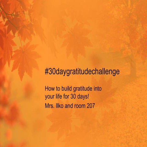  30 day gratitude challenge prompts