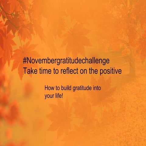 November Gratitude Challenge