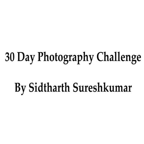 My Work - 30 Day Photography Challenge