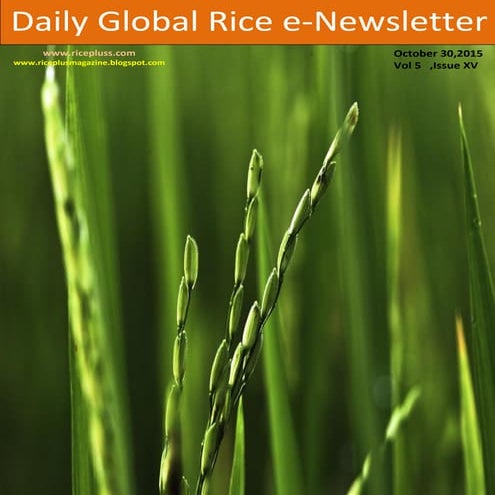 Geography-Subsistence rice farming in the lower ganges valley | PPTX