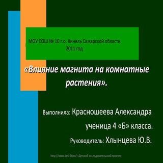 Презентация "Влияние магнита на ком...