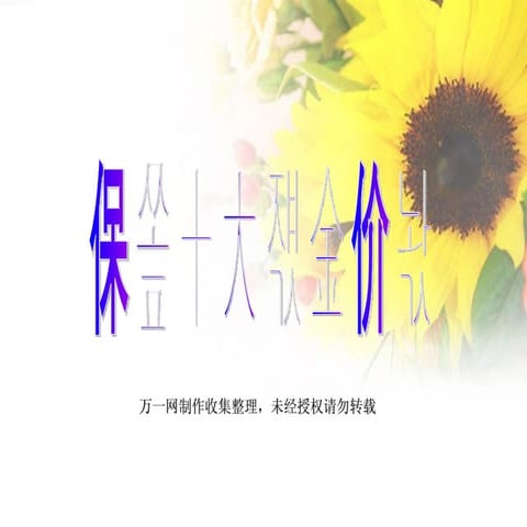 保险十大黄金价值31页