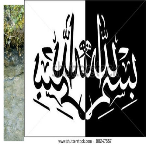 31. soil science By Allah Dad Khan 