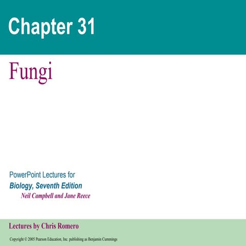 31  fungi text