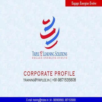 Triple E - Corporate Profile