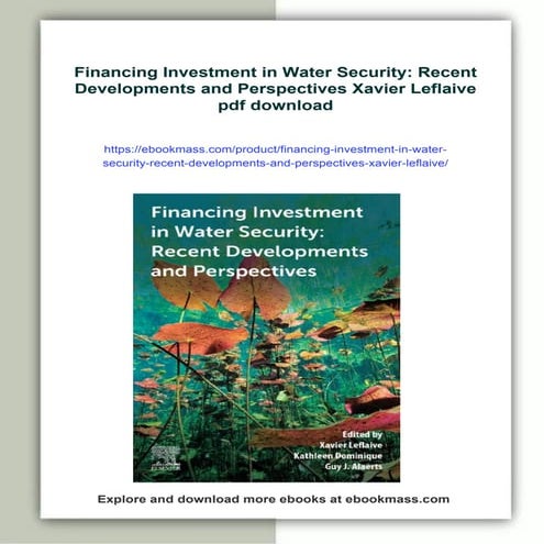 Financing Investment in Water Security: Recent Developments and Perspectives ...