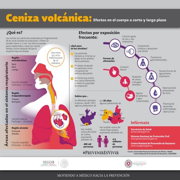 Infografía Ceniza Volcánica, Efectos en el cuerpo a corto y largo plazo.PDF