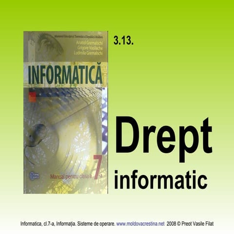 3 13 Drept Informatic