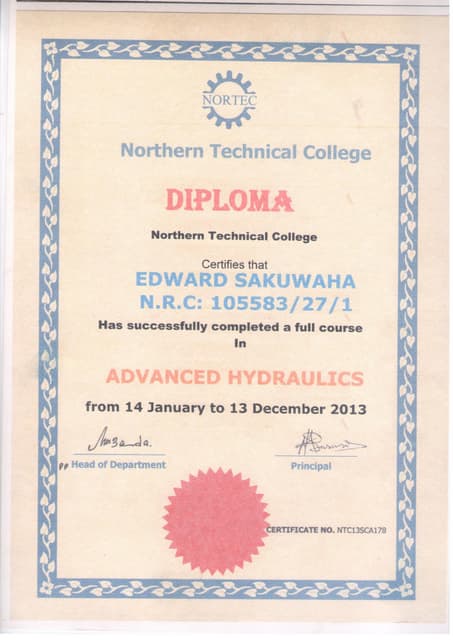 Original BComm Degree | PDF