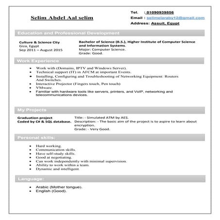 CV UPDATED 16 ENG | PDF