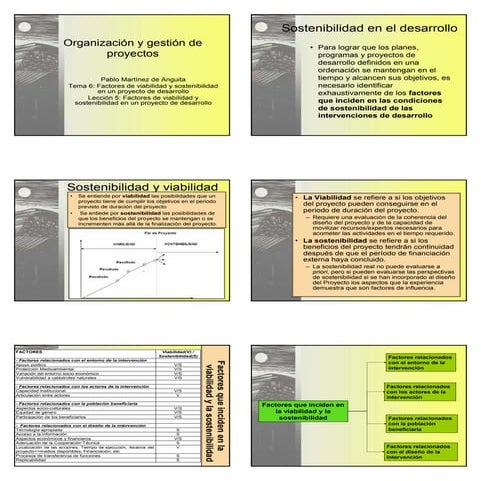 viabilidad y sostenibilidad de proyectos pdf