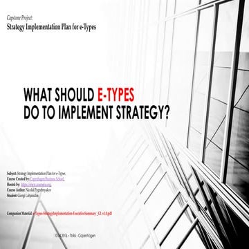 317596165-e-Types-StrategyImplementation-GL-v0-3.pdf