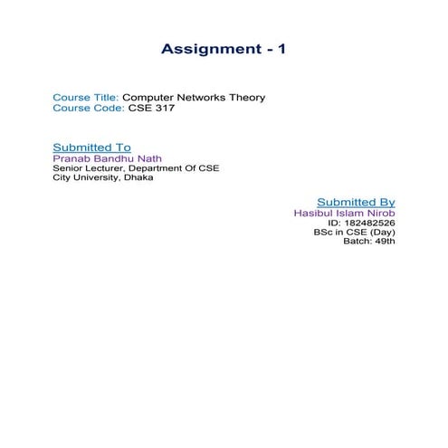 Computer Networking Theory Assignment 1
