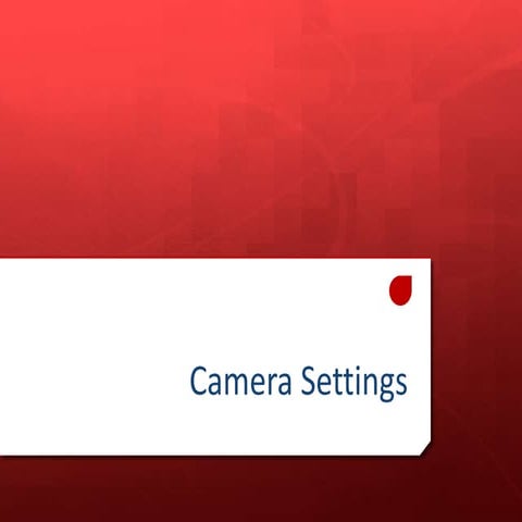 317 camera settings