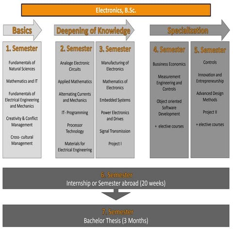 Curriculum | PDF