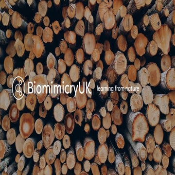 European Environment Agency - Biological Problem Solving.