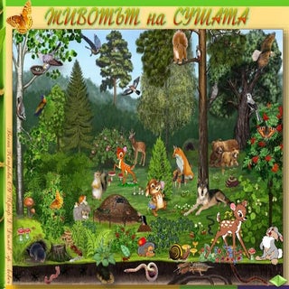 32. Животът на сушата - ЧП, 4 клас,...