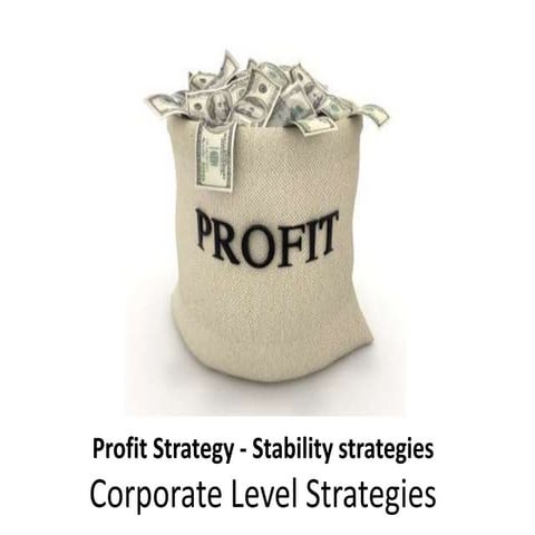 Profit strategy   stability strategies  - corporate level strategies