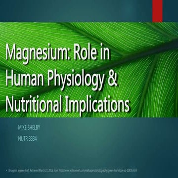 Magnesium_MikeShelby_B
