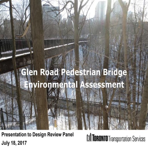 Glen Road Pedestrian Bridge - for Design Review Panel July 2017