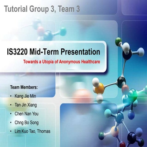IS3220 Mid-Term Presentation