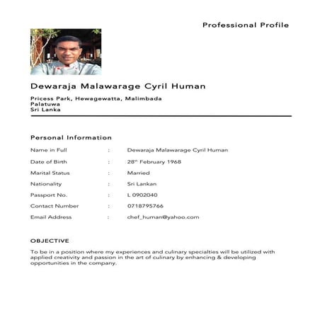 Chef udo cv, updated | DOCX