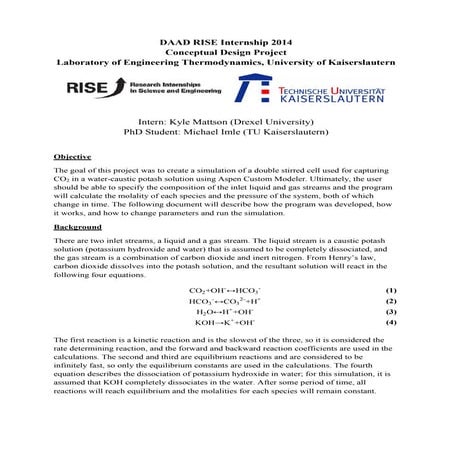 DAAD RISE Asepn Custom Reactor Final Summary