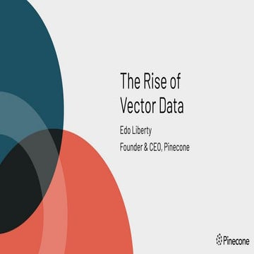 The Rise of Vector Data | PPT | Free Download