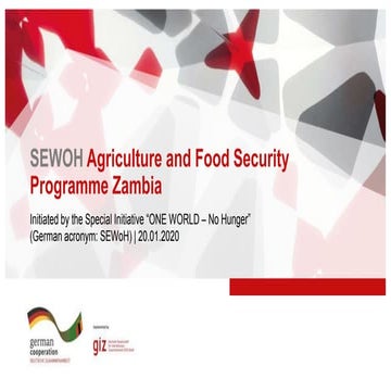 SEWOH: Agriculture and Food Security Programme Zambia