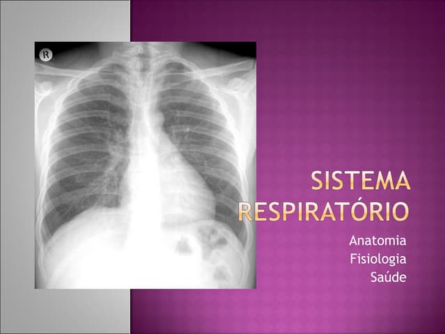 32851123 12588617-sistema-respirato...